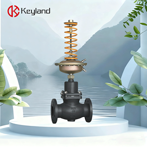 Van điều khiển lưu lượng tự vận hành JL300ZL-L01, sản phẩm được khuyến nghị, van điều chỉnh tự vận hành - Product Image 4