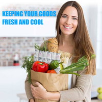 Packs de glace sèche à vente chaude, sacs isothermes, boîtes à glace, feuilles de glace sèche réutilisables pour l'expédition de produits frais et froids