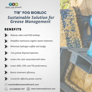 Bloque de Tratamiento de Grasa Comercial, Protección de Drenaje de Plástico - Product Image 1