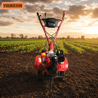 Cultivador a Gasolina de Accionamiento Directo Más Vendido, con Repuestos Gratuitos, Motor 160F 168F de 7HP 9HP para Granja de Café, Proveedor Verificado