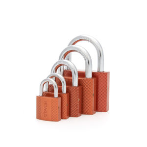 फैक्ट्री हॉट सेलिंग क्वालिटी फाइन पॉलिशिंग एंटी-चोरी 3-कुंजी लॉक कांस्य-कोर्ड सफारी सस्ते मूल्य लौह पैडलॉक - Product Image 3