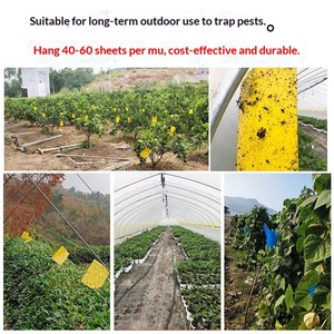 Trampa Adhesiva Amarilla de Doble Cara, Resistente a los Rayos UV, Tabla Impermeable para Insectos, para Invernadero y Jardín - Product Image 6