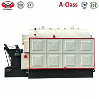 Dispositif de combustion à grille à chaînes DZL à économie d'énergie pour chaudière de chauffage de déchets agricoles et d'usine de boissons