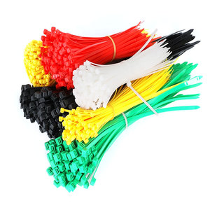 JAGASL Qualité Supérieure 10*<span class=keywords><strong>550</strong></span> nylon bande Serre-Câble En Nylon Autobloquant - Product Image 4