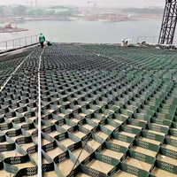 Système de confinement cellulaire Geocell en HDPE de 1,0 mm pour le renforcement des sols routiers, durable