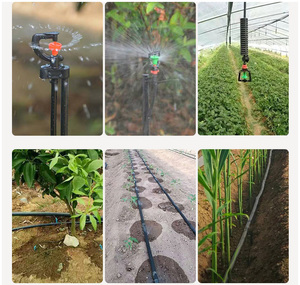 Bán Sỉ Ống Nhỏ Giọt Hdpe Ldpe Tưới Tiêu Nông Nghiệp Chất Liệu <span class=keywords><strong>Pe</strong></span> Đường Kính 25Mm 32Mm 60Cm 63Mm 2 Inch Dùng Cho Tưới Tiêu Trang Trại - Product Image 6