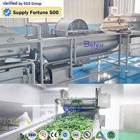 Baiyu Automatische Hydro Vortex Fruit- en Groentewasmachine met Ozonsterilisatie, Voedselveilige RVS, voor Bloem, Maïs en Noten