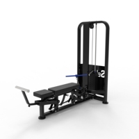 Extension triceps inclinable ergonomique de haute qualité à charges réglables en acier, personnalisable pour l'entraînement de force