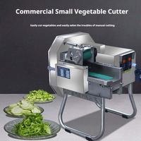 Commerciële elektrische groente- en fruitsnijder, -schaaf, -hakker en -snijmachine voor peterselie, prei, groene ui, komkommer en aardappel