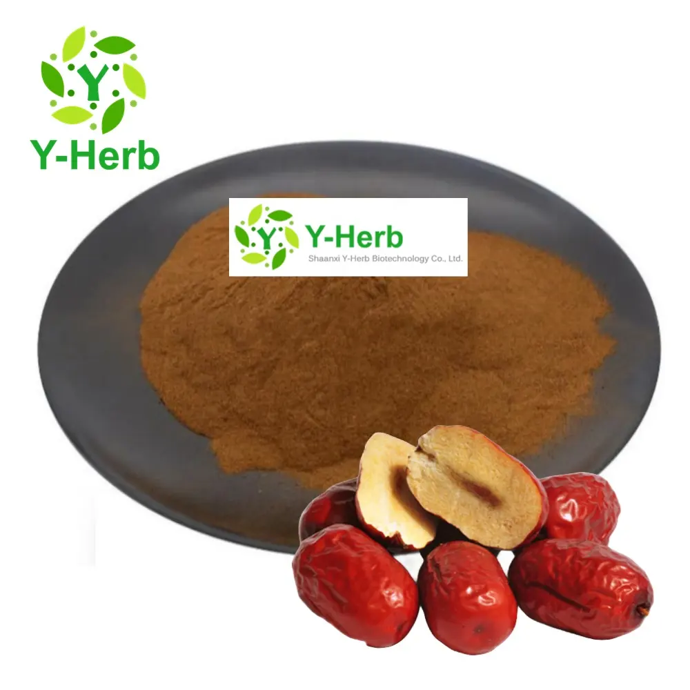 バルク水溶性10:1 Semen Ziziphi Spinosae Seed Extract 10:1 Red Jujube Extract Powder
