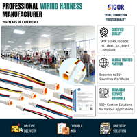 Custom Automotive Motorcycle Wiring Harness Assembly 2 3 4 6Pin JST JWPF Waterproof PVC/PBT Connector Cable 0.3mm IP66