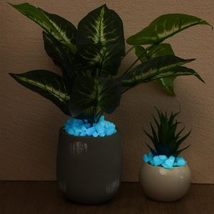 Piedras Brillantes en la Oscuridad de Alta Calidad, Ecológicas y Duraderas de 5-8 mm para Jardín, Paisajismo, Acuarios, Pavimentación, Caminos y Plantas Suculentas - Product Image 6