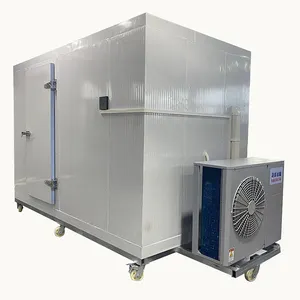Sala fria para peixes Sala de armazenamento a frio Construir congeladores de sala fria Economia de energia melhor preço
