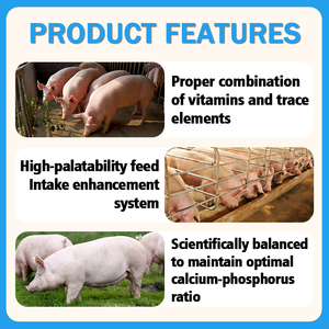 Prémélange pour l'engraissement des porcs <span class=keywords><strong>de</strong></span> grande taille à 4% : Nutrition équilibrée pour porcs, stimulateur <span class=keywords><strong>de</strong></span> croissance, aliment |   Prise <span class=keywords><strong>de</strong></span> poids rapide et promotion <span class=keywords><strong>de</strong></span> la croissance - Product Image 4