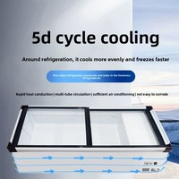 Congélateur 2 portes avec éclairage LED, niveau d'efficacité énergétique 2, dimensions 1,0m-2,0m