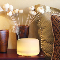Usine directe nouveauté aromathérapie coloré LED diffuseur d'arôme lampe aromathérapie Machine sans encre 500ML humidificateur domestique