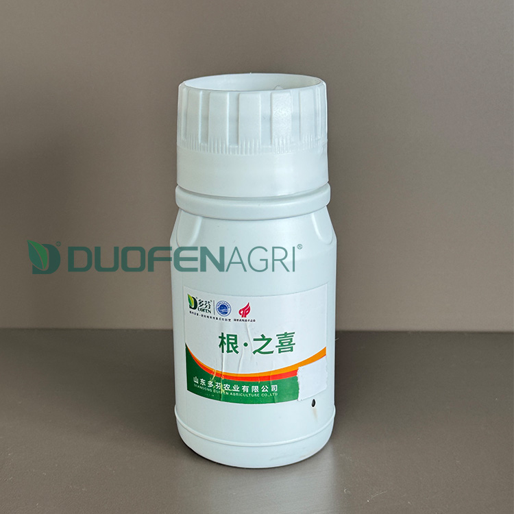 Wholesale NPK 70-70-70+HA Liquid Fertilizer Manufacturer