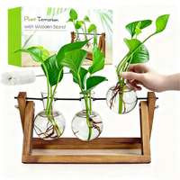 Terarium Tanaman Dalam Ruangan dengan Dudukan Kayu, Vas Bohlam Kaca, Stasiun Perbanyakan Meja, Rak Retro untuk Dekorasi Rumah, Kantor, dan Taman