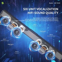 Barre de son longue portée NR7019C 50W pour TV, karaoké, enceinte murale Bluetooth avec télécommande, son surround 3D HIFI
