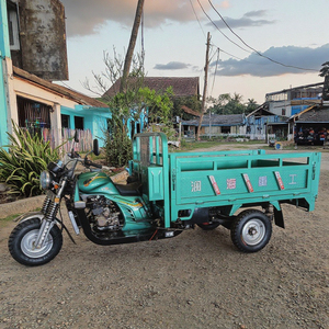 2026 Dreirad-Lastenmotorrad Benzin 150cc 200cc Passagier Offene/Geschlossene Karosserietypen CCC Motorisierte Dreiräder - Product Image 3