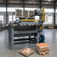 Machine industrielle automatique YG pour la production de barquettes à œufs en carton, idéale pour les usines d'emballage à haut rendement