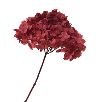 Hydrangea alami disiapkan burgundy hydrangea asli diawetkan bayi segar merah muda kualitas tinggi hydrangeas untuk acara pernikahan dekorasi