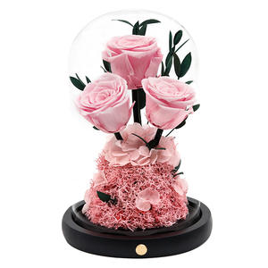 Fleur Éternelle Sansheng III, Roses Naturelles Conservées, Petit Prince sous Cloche en Verre, Longue Durée, Décoration de Table, Noël, Saint-Valentin - Product Image 5