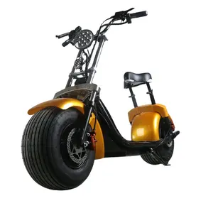 Snow Small Scotter Stand Up Adult Electric Scooter