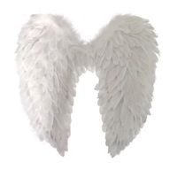 Ailes d'ange, ailes de démon, ailes en plumes pour Halloween, Noël, carnaval, cosplay, accessoires de scène de mariage, cadeau pour enfants, fournitures de fête