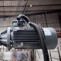 Agitateur électrique chauffant 100L à pales, homogénéisateur à cisaillement élevé, équipement de mélange à double enveloppe 3 couches pour cosmétiques, aliments et produits chimiques
