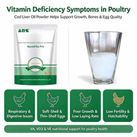 Supplément d'huile de foie de morue pour volailles, enrichi en vitamines AD3E, favorise la croissance des poulets de chair, améliore la fertilité et la capacité d'éclosion pour les poules reproductrices