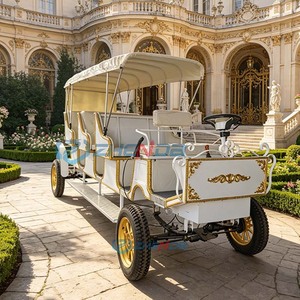 High Performance Luxury Royal Outdoor white Horse Carriage Tourist Traffic Vehicle Sightseeing Horse Cart Electric Car - Product Image 5