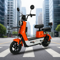 Vélo Électrique Léger en Acier au Carbone avec Batterie au Plomb 350W 48V, Assistance à la Pédalisation, Longue Autonomie, Abordable pour les Trajets Urbains – Vente Directe Usine