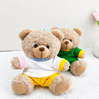 Songshan Toys Ensemble de t-shirts de sport avec logo personnalisé, porte-clés animaux, pendentif de sac poupée pour machine à griffes, jouet en peluche ours en peluche, cadeau