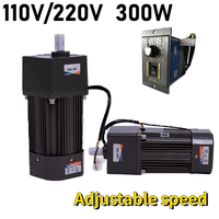 Controlador de Velocidad Variable para Motor de CA con Caja de Engranajes PLC, 220/110V 300W, Venta al por Mayor