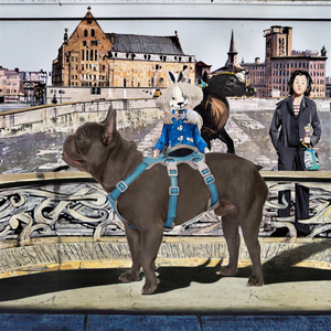 สายรัดสัตว์เลี้ยงไนลอนที่สะดวกสบายและปลอดภัย สายจูงสุนัขขนาดใหญ่พร้อมเชือกสะท้อนแสงและป้องกันการแตกหัก สำหรับการเดินทางอย่างมีสไตล์ - Product Image 3