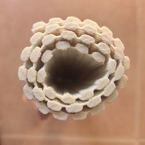 Nouveau produit tendance imprimé océan <span class=keywords><strong>coquille</strong></span> et motif étoile <span class=keywords><strong>de</strong></span> mer tapis en PVC, doux anti-dérapant salle <span class=keywords><strong>de</strong></span> <span class=keywords><strong>bain</strong></span> tapis <span class=keywords><strong>de</strong></span> douche tapis <span class=keywords><strong>de</strong></span> sol humide - Product Image 6