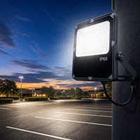 Projecteur LED étanche IP66 en aluminium moulé sous pression 180LmW AC85-305V pour éclairage de parcs d'attractions et de places publiques