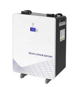 Lifepo4 Lithium Ion Battery US Japan Europe Most Popular Best Seller Lead Acid Replacement Solar RV Marine 5000Wh 51.2V