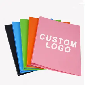 Wholesale plastic sleeve folders For Holding Diverse File Sizes 