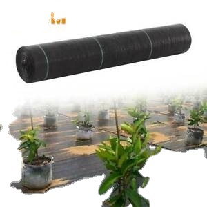 Cubierta de plástico para invernadero agrícola, tela antimaleza tejida para paisaje - Product Image 5