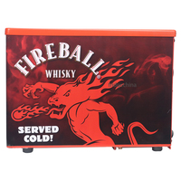 Fireball Whisky Double Bouteille Refroidisseur Congélateur Grab & Verser