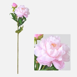 Pivoine en vrac rentable, solution pratique pour planificateur d'événements et <span class=keywords><strong>fleuriste</strong></span> - Product Image 4