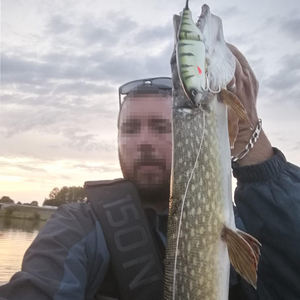 JOHNCOO — leurre méné rigide de type poisson nageur, appât artificiel articulé idéal pour la pêche au <span class=keywords><strong>brochet</strong></span> ou au méné, Wobbler, Swimbait, 135/160mm - Product Image 6