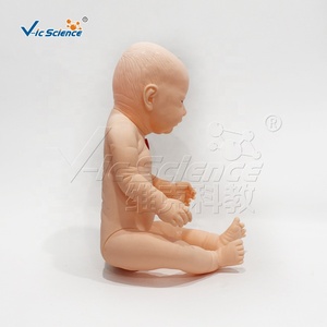 Modelo de Cuidado de Traqueostomía Infantil de PVC a Tamaño Real con Práctica de Succión para Laboratorio de Enfermería, con Certificaciones CE, ISO, ROHS y CNAS - Product Image 6