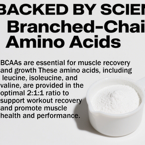 OEM Private label Premium BCAA in polvere rapporto 2:1:1-recupero muscolare e supporto di resistenza per gli atleti - Product Image 2
