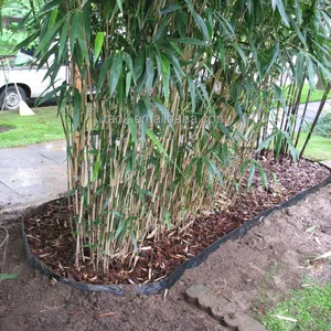 Bambu kontrol kök koruma için 1mm 100% Virginal HDPE geomembran ağaç kök bariyer
