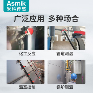 ไมโค ทีเอสอาร์ พีที 100 เซ็นเซอร์วัดอุณหภูมิ สแตนเลสสตีล หุ้มเกราะ ป้องกันการระเบิด แบบเสียบ ชนิดขั้วต่อแบบสกรู - Product Image 5