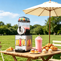 Machine à slush commerciale monocylindre en acier inoxydable pour boissons glacées et smoothies
