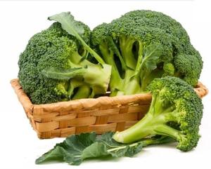 ブロッコリーエキススルフォラファン粉末大根種子エキス - Product Image 6